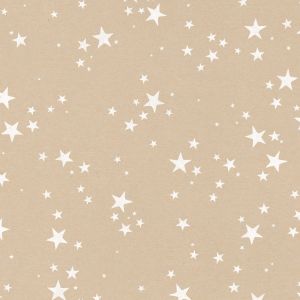 Cadeaupapier kraft ster (CWH) 2