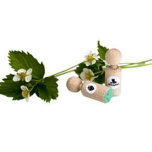 Ministempel aardbei, Miss Honeybird 4