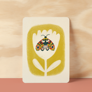 Kaart le papillon céleste, Illu-ster 1