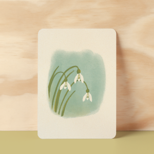 Kaart sneeuwklokje, Ill-ster 1