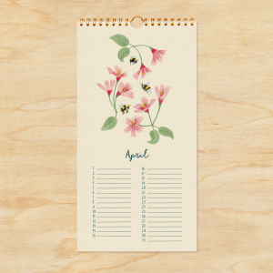 Kalender verjaardag, Illu-ster 4