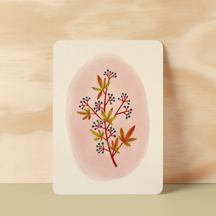 Kaart Wilde Wingerd, Illu-ster