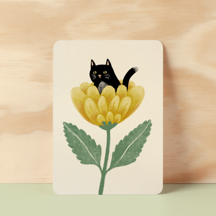 Kaart verrassing, Illu-ster